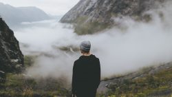 gallery-image-17