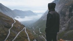 gallery-image-15