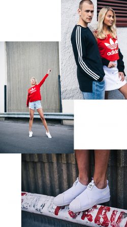 gallery-image-3