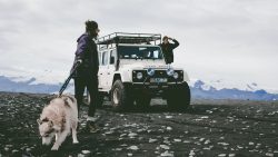 gallery-image-10