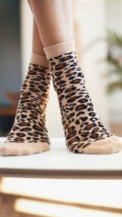 gallery-image-13