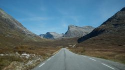 gallery-image-13