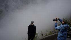 gallery-image-20