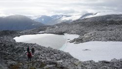 gallery-image-28