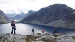 gallery-image-19