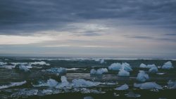 gallery-image-10