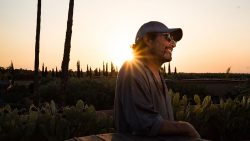 gallery-image-13