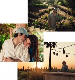 gallery-image-2