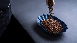 gallery-image-10