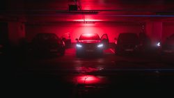 gallery-image-13